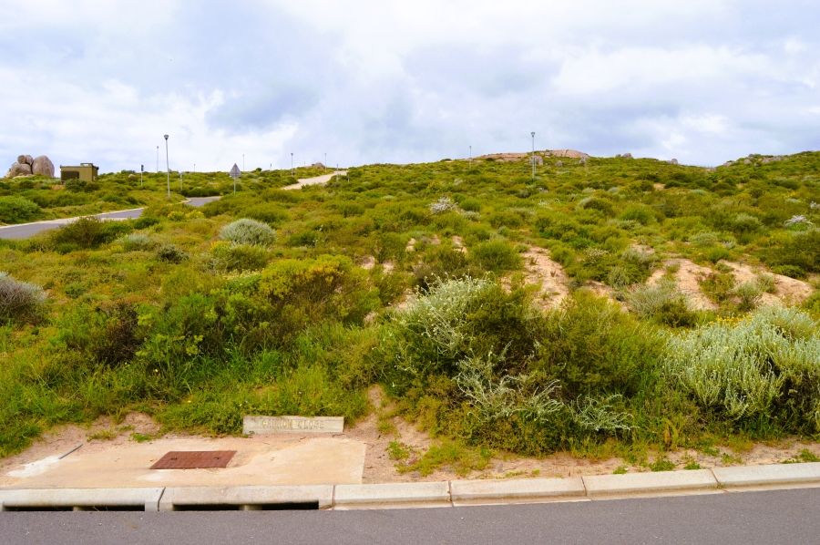 0 Bedroom Property for Sale in St Helena Views Western Cape